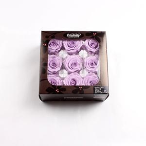 로즈캐논 M 스위트라일락, Rose Canon M - Sweet Lilac/프리저브드플라워, 시들지않는장미, 오래가는꽃, 인테리어꽃,꽃배달