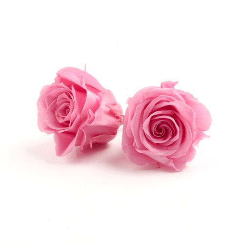 로즈 이즈미 - 프린세스 핑크, Rose Izumi