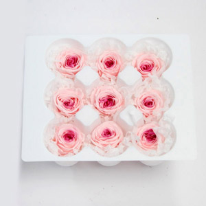 프리저브드 로즈 마리히메(S) - 핑크베리 / Preserved Rose Marihime(L) - Pink Berry