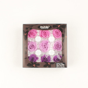 로즈 이즈미 - 라벤더 믹스, Rose Izumi