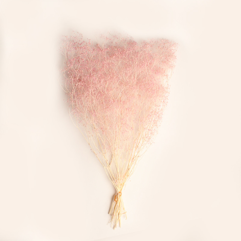 미니안개 네이처 - 화이트 핑크